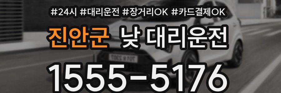 진안군 낮 대리운전