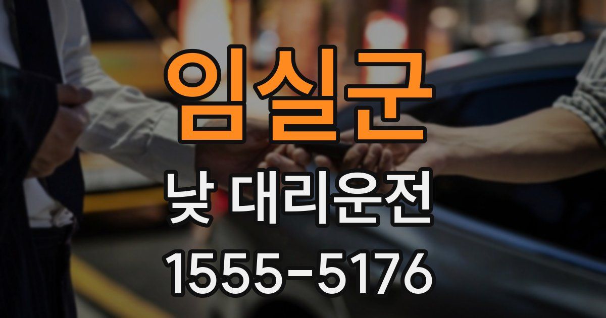 임실군 낮 대리운전
