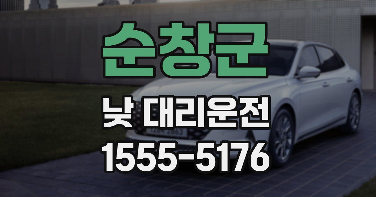 순창군 낮 대리운전