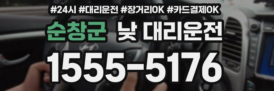 순창군 낮 대리운전