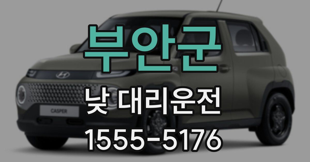 부안군 낮 대리운전