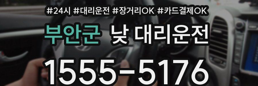 부안군 낮 대리운전