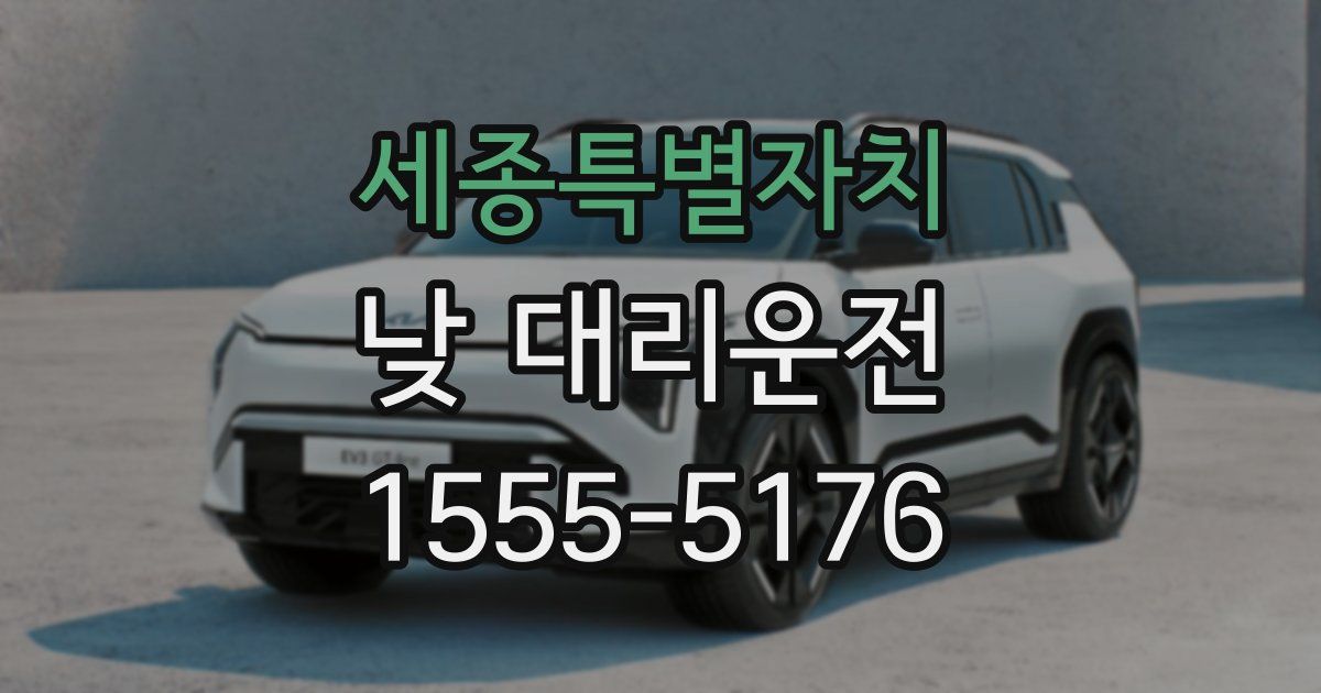 세종특별자치 낮 대리운전