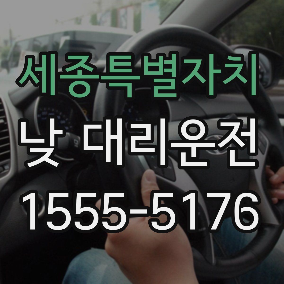 세종특별자치 낮 대리운전