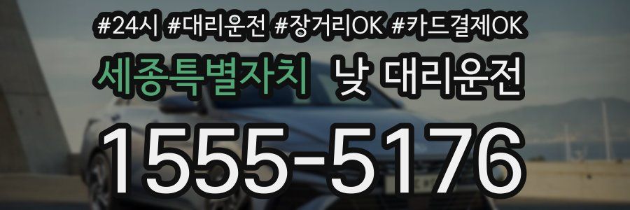 세종특별자치 낮 대리운전