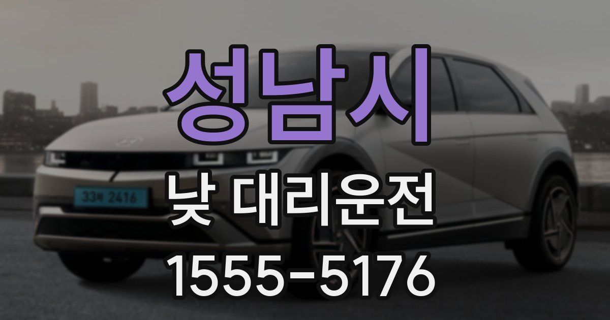 성남시 낮 대리운전