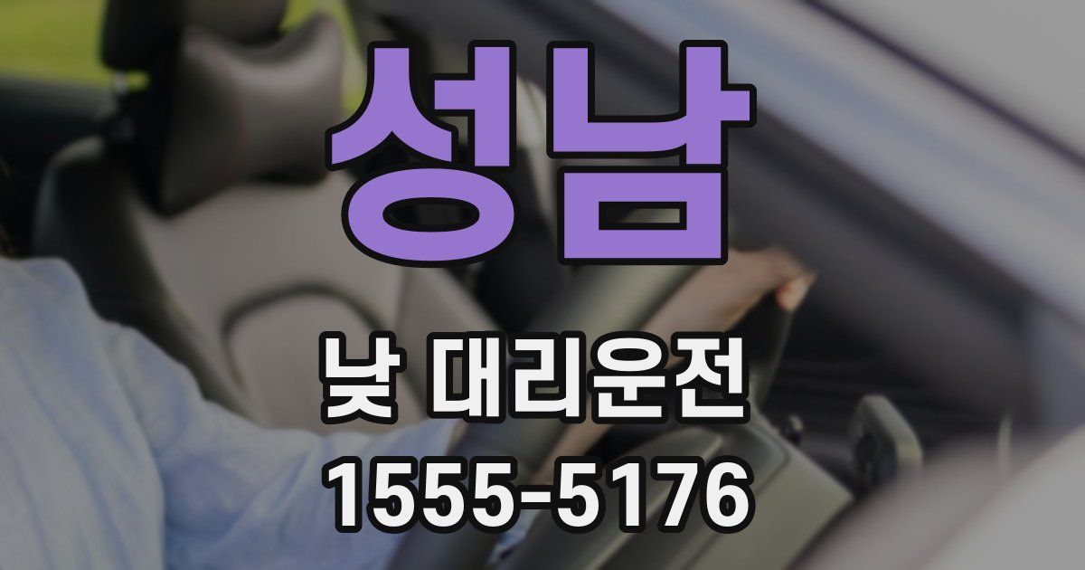 성남 낮 대리운전
