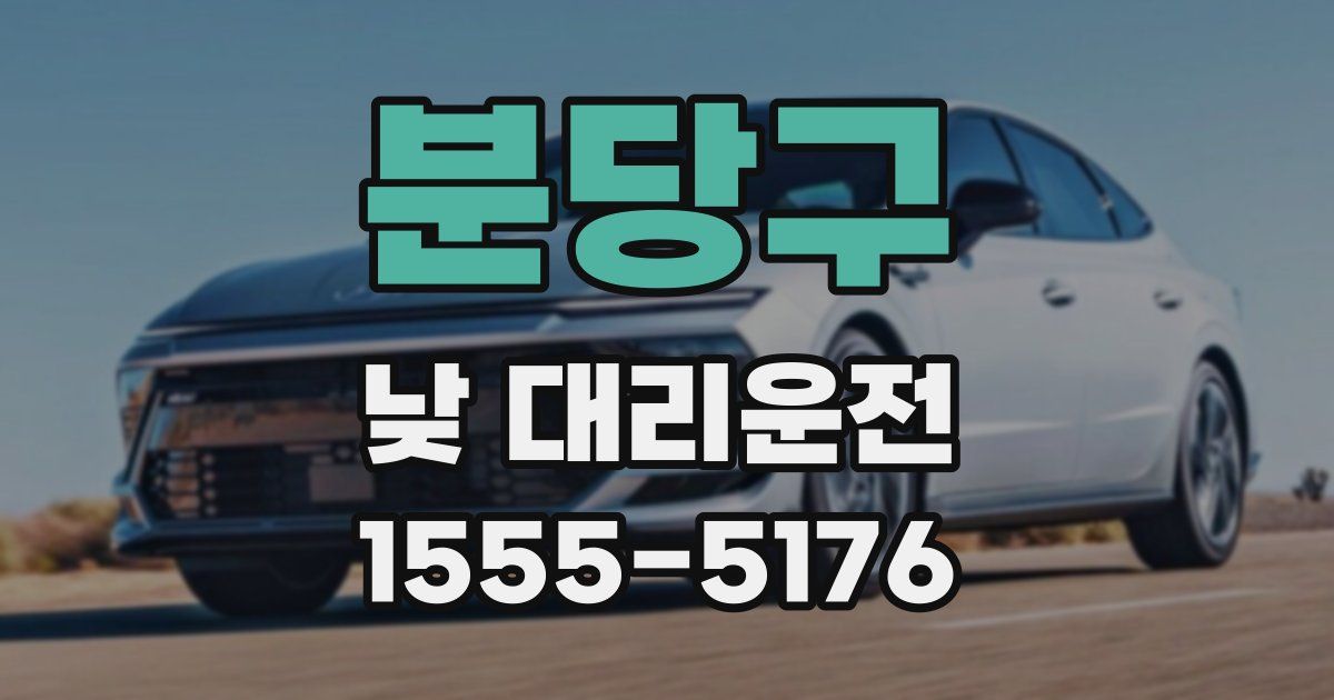 분당구 낮 대리운전