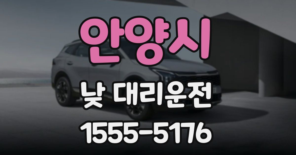 안양시 낮 대리운전