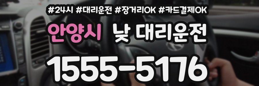 안양시 낮 대리운전