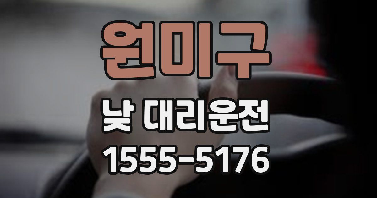 원미구 낮 대리운전