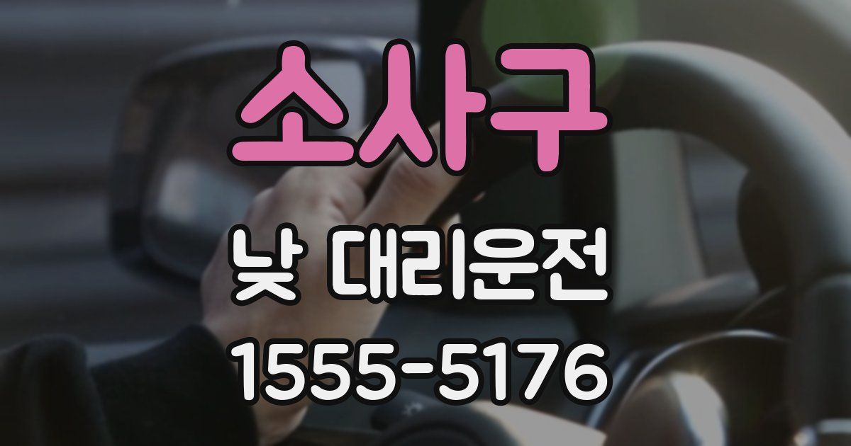소사구 낮 대리운전