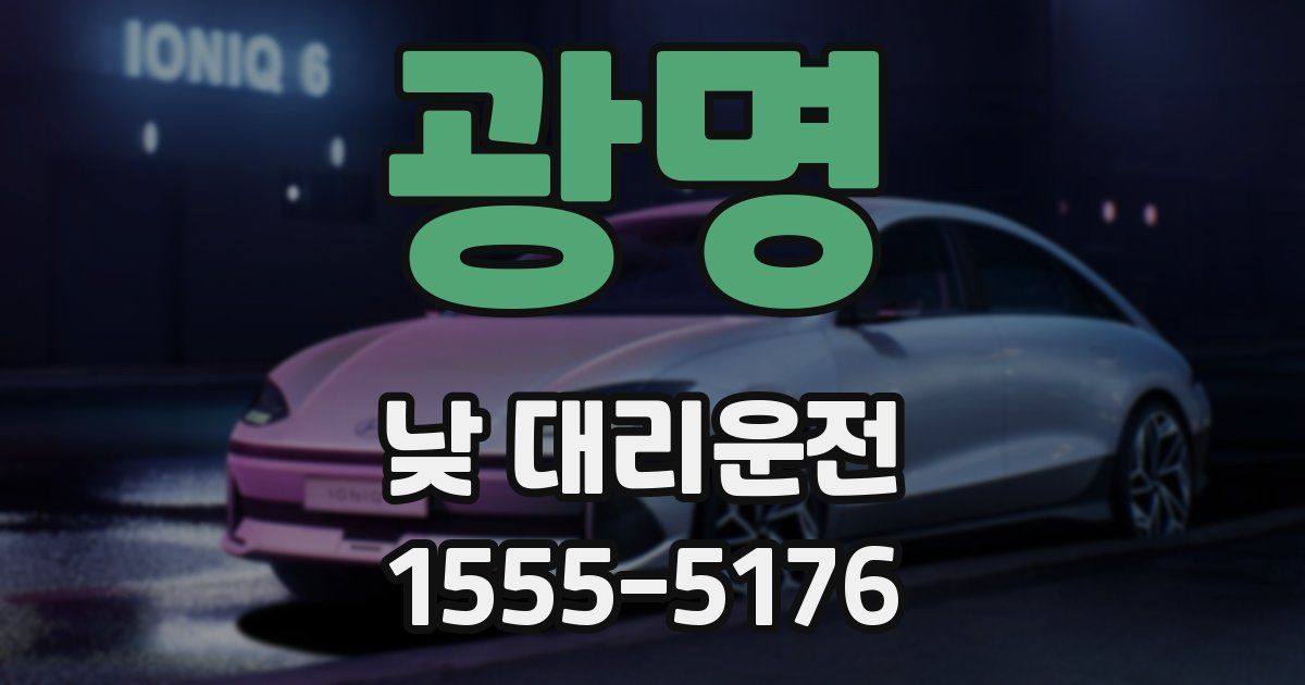 광명 낮 대리운전