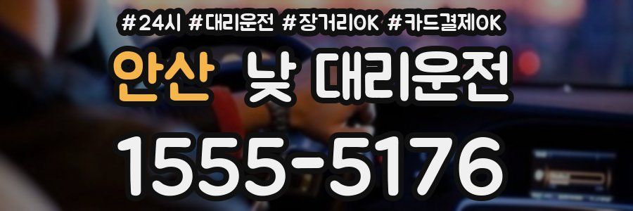 안산 낮 대리운전