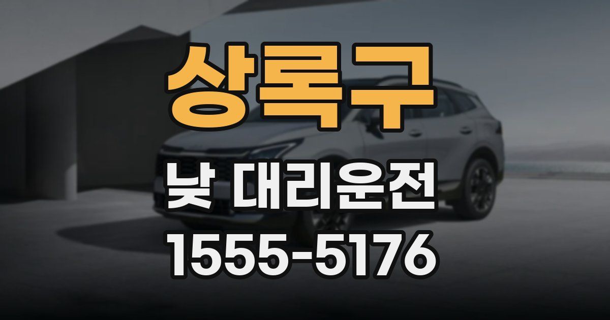 상록구 낮 대리운전