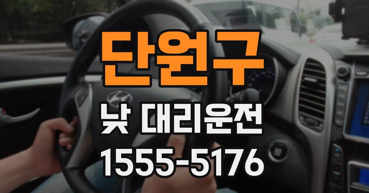 단원구 낮 대리운전