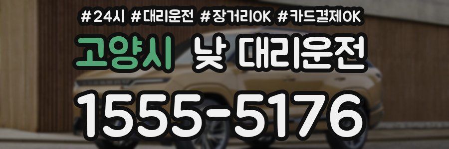 고양시 낮 대리운전