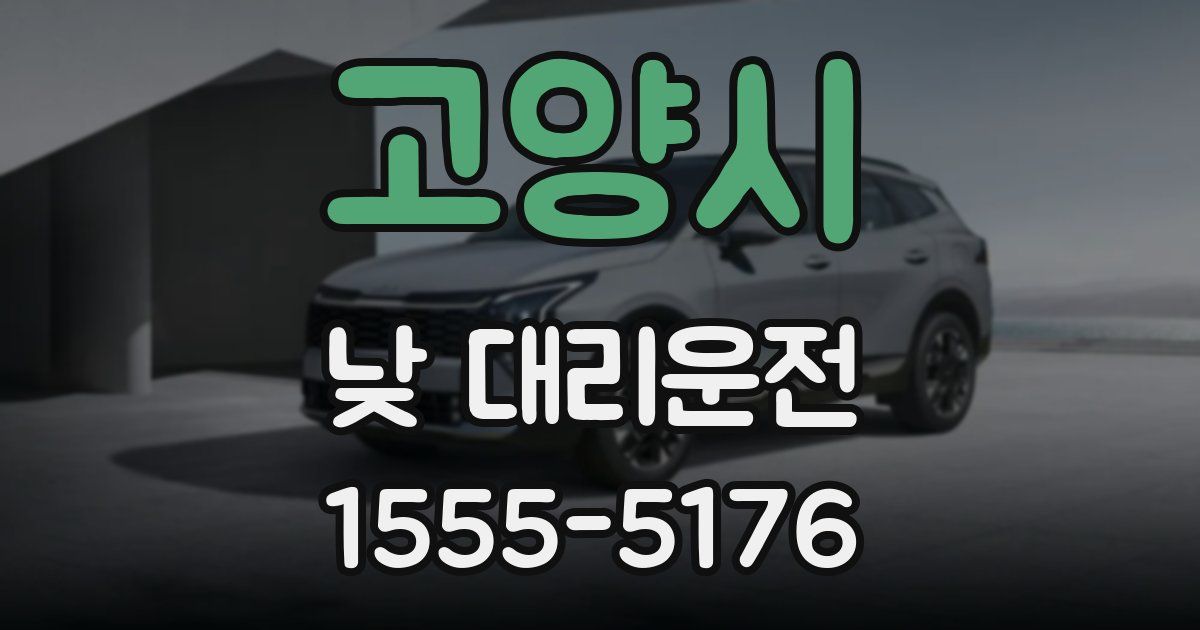 고양시 낮 대리운전