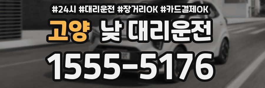 고양 낮 대리운전