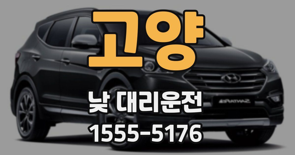 고양 낮 대리운전