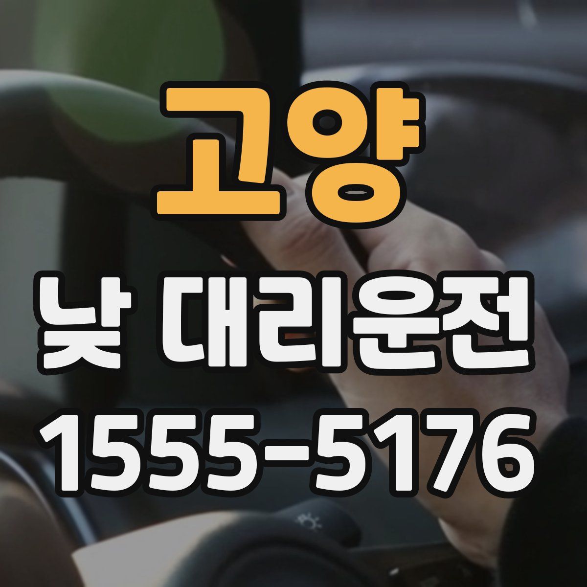 고양 낮 대리운전