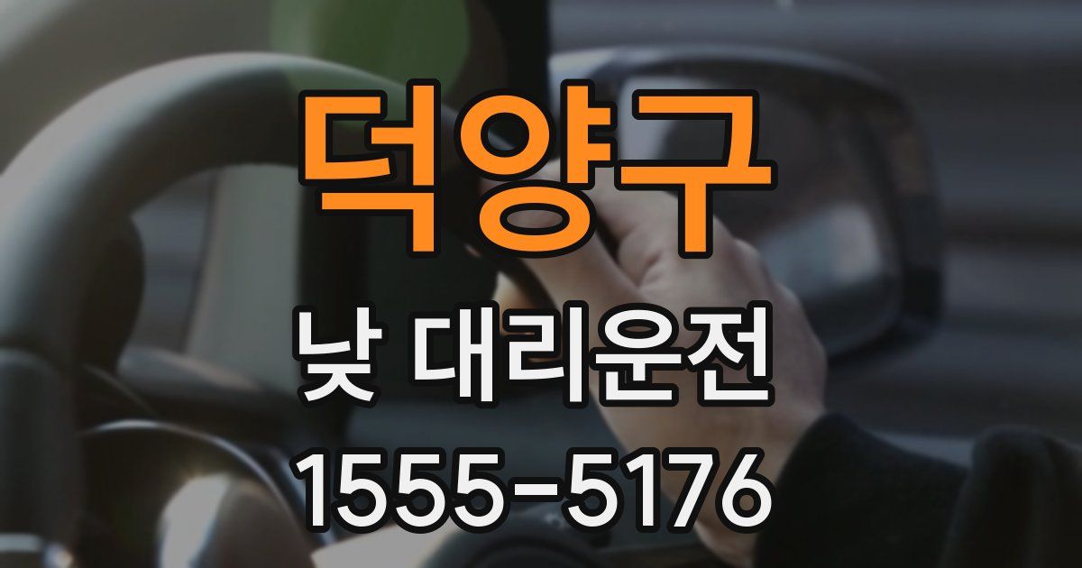덕양구 낮 대리운전