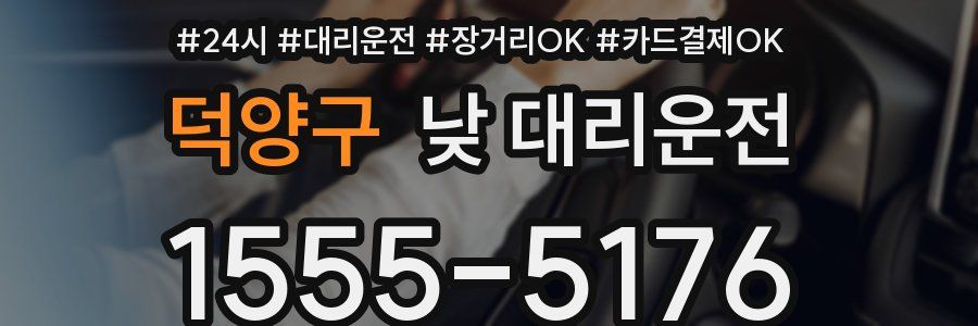 덕양구 낮 대리운전