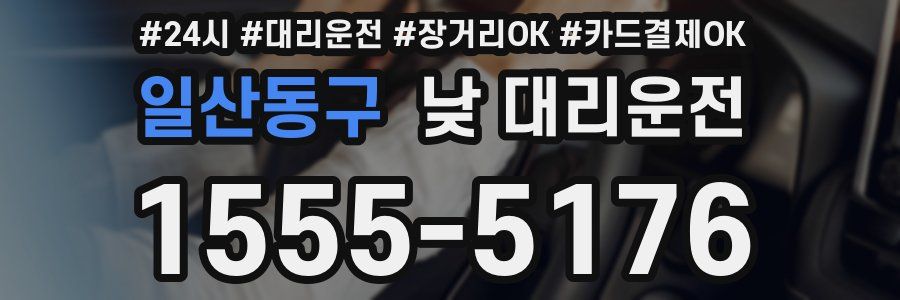 일산동구 낮 대리운전