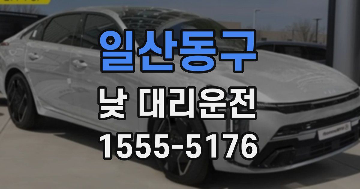 일산동구 낮 대리운전