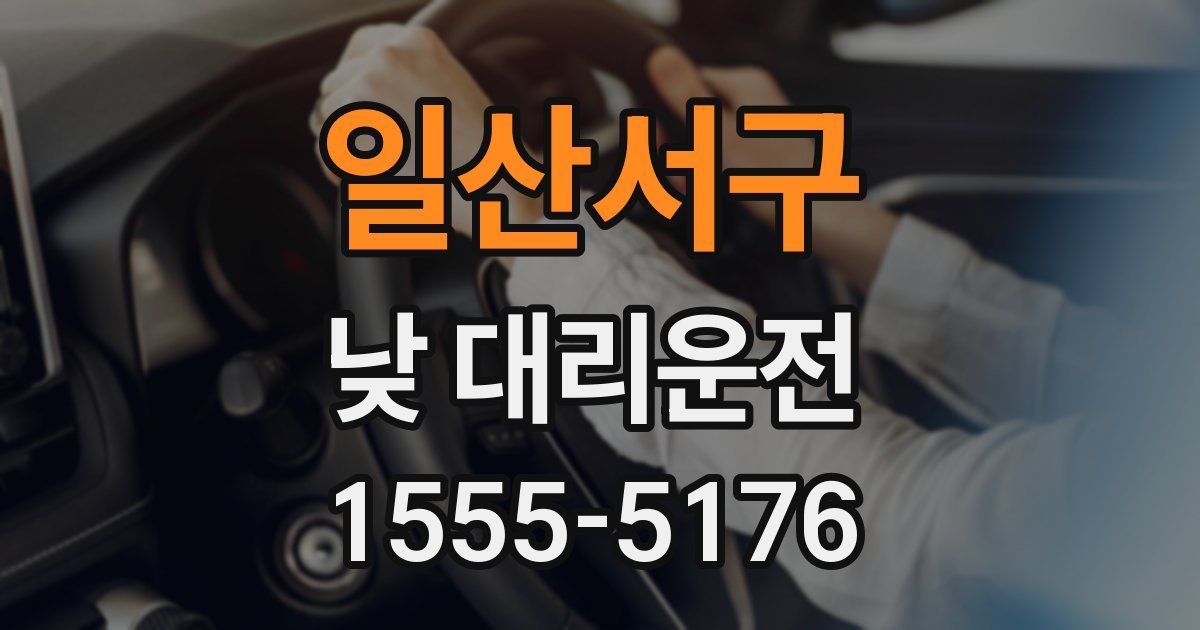 일산서구 낮 대리운전