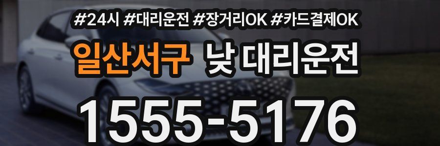 일산서구 낮 대리운전