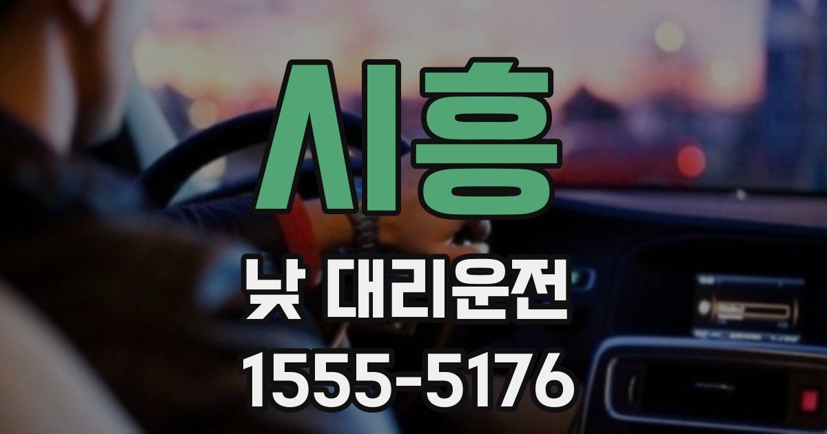 시흥 낮 대리운전