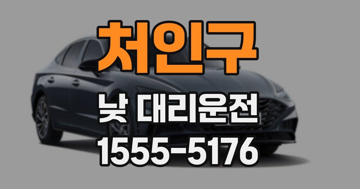 처인구 낮 대리운전