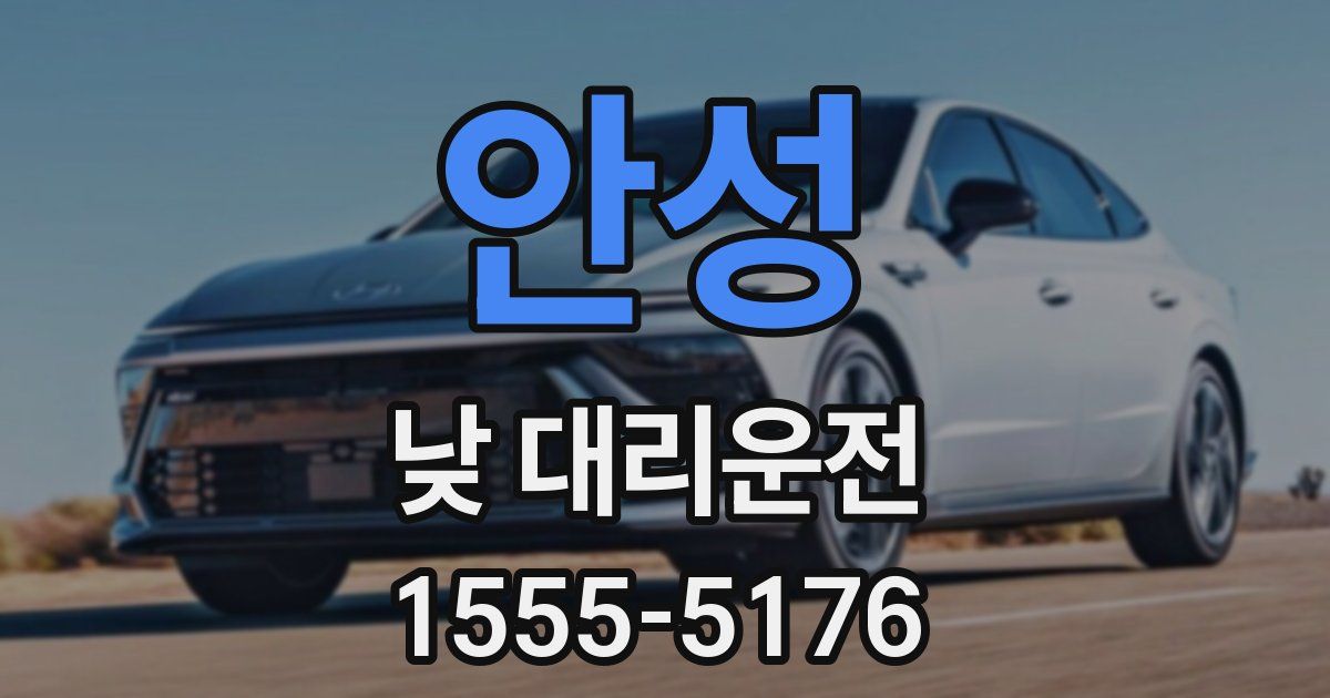 안성 낮 대리운전