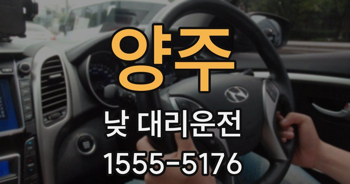 양주 낮 대리운전