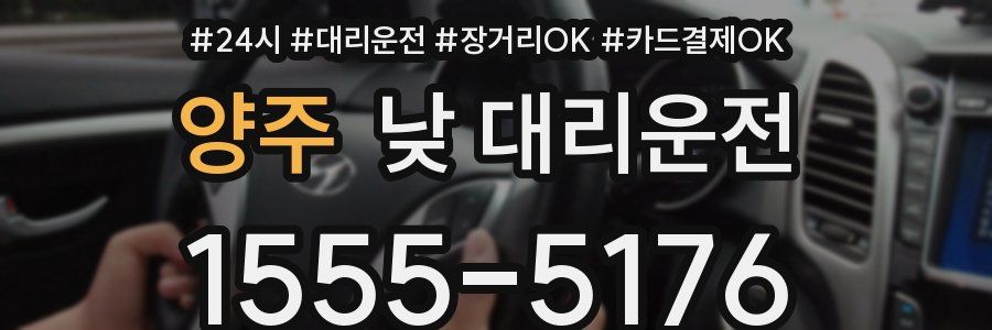 양주 낮 대리운전