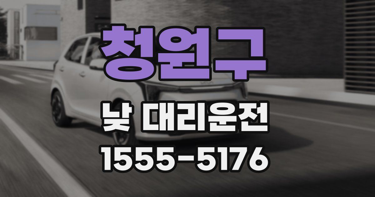 청원구 낮 대리운전