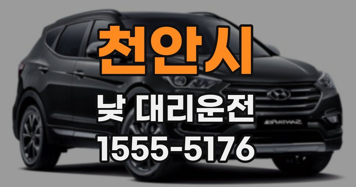 천안시 낮 대리운전