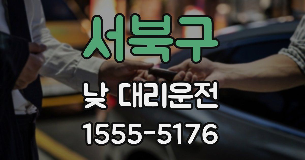 서북구 낮 대리운전