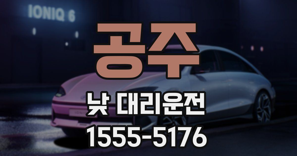 공주 낮 대리운전