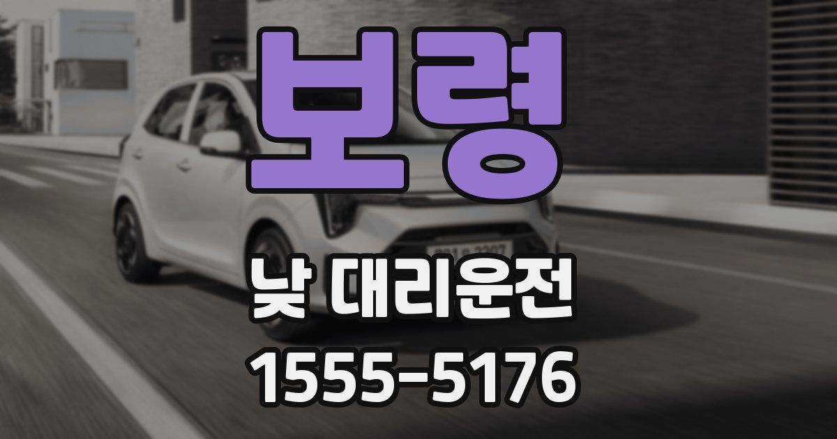 보령 낮 대리운전
