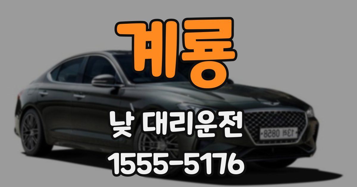 계룡 낮 대리운전