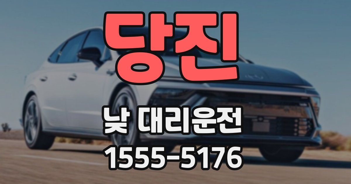 당진 낮 대리운전