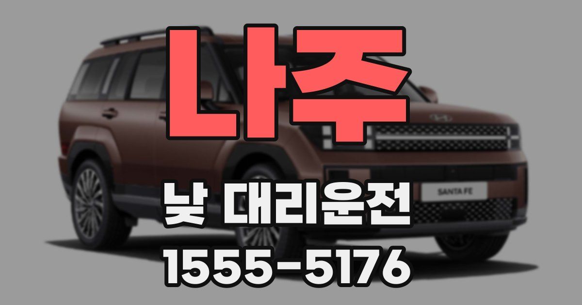 나주 낮 대리운전