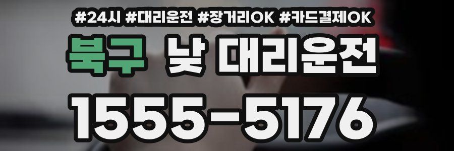 북구 낮 대리운전