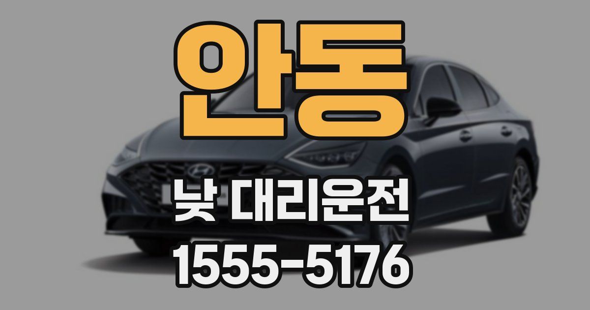 안동 낮 대리운전