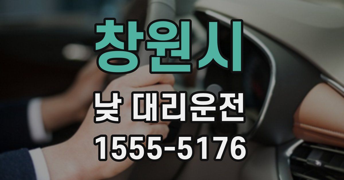 창원시 낮 대리운전