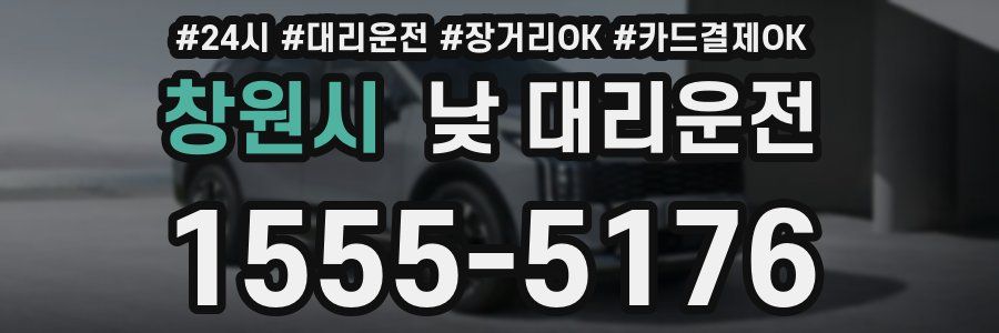 창원시 낮 대리운전