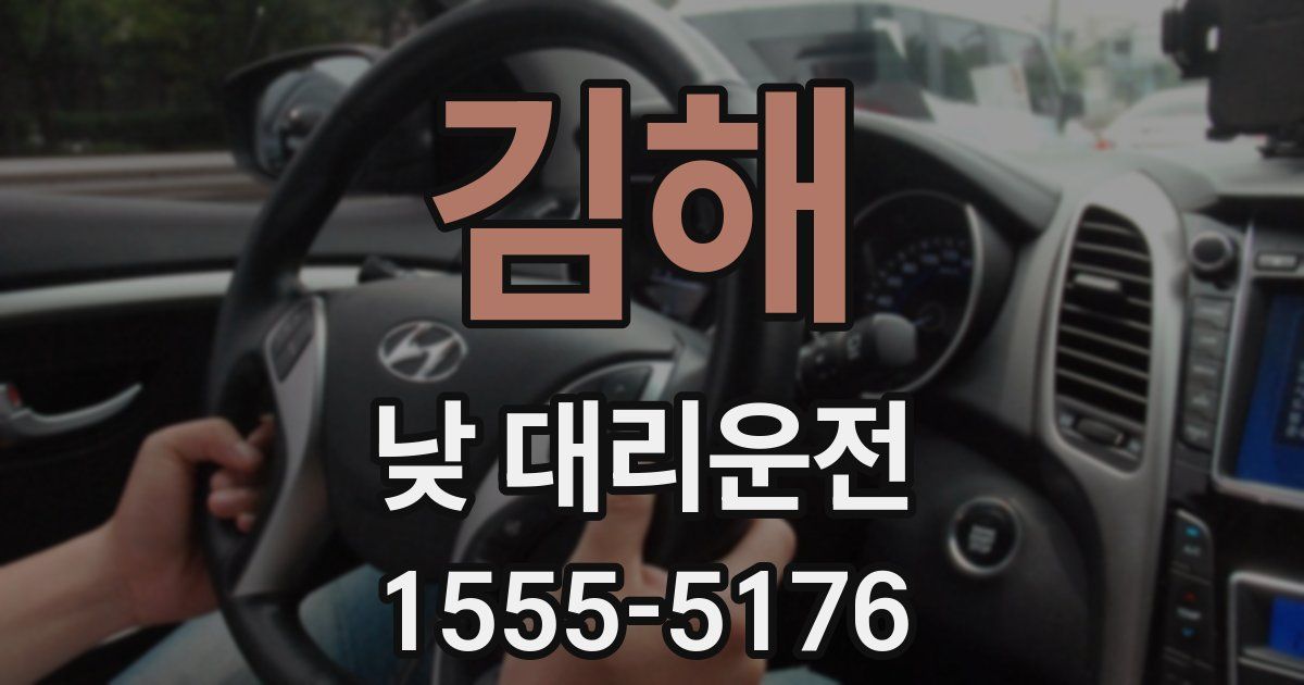 김해 낮 대리운전