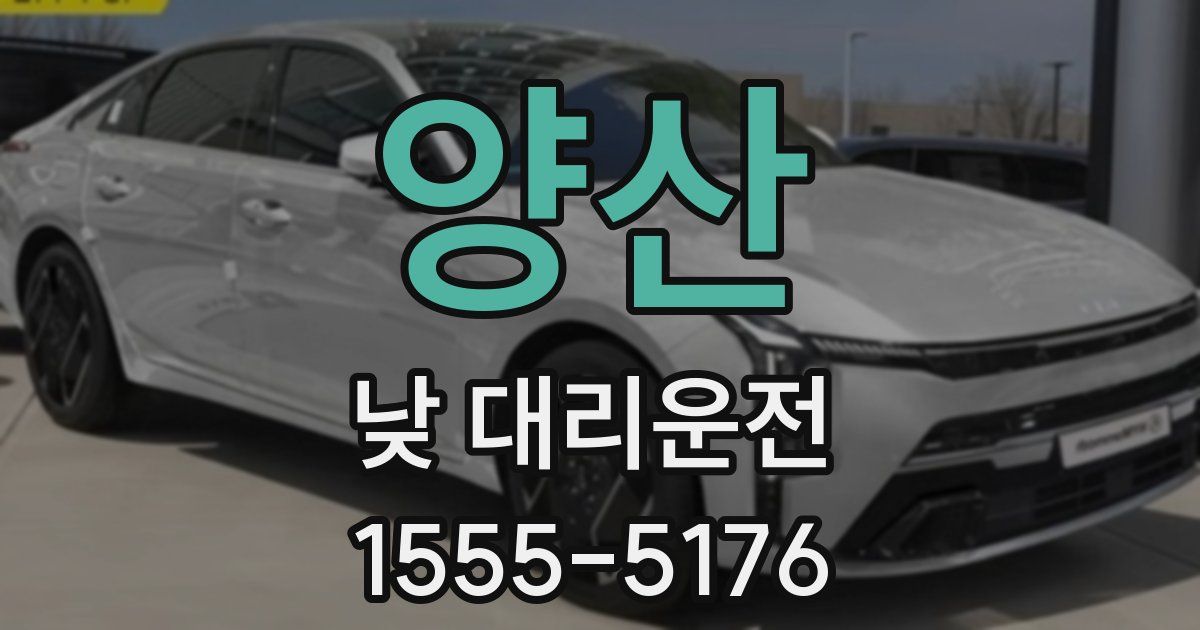 양산 낮 대리운전